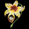 Click here for big picture, full description, patents, ads and references for this item