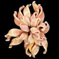 Click here for big picture, full description, patents, ads and references for this item